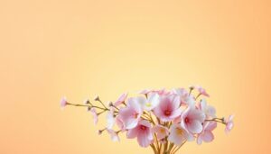 הזמנה קלה ובטוחה