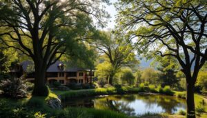 מלון קסום טבעי